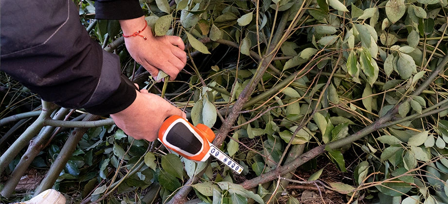 4 inch mini chainsaw cleaning branches